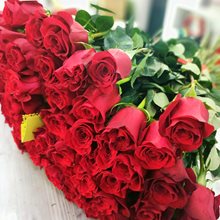 101 роза Эквадор сорт Фридом 80 см 