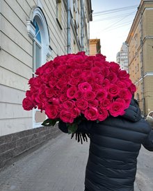 Фото 101 розы розовой Пинк Флойд 80 см 