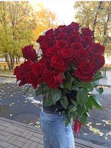 25-роз-100