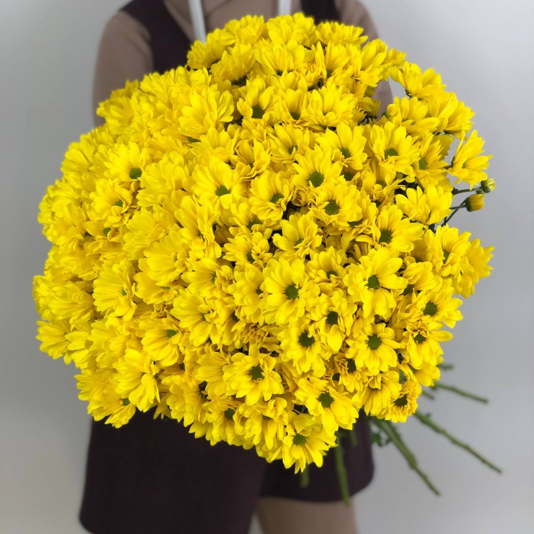 Желтые хризантемы Бакарди в декоративной упаковке