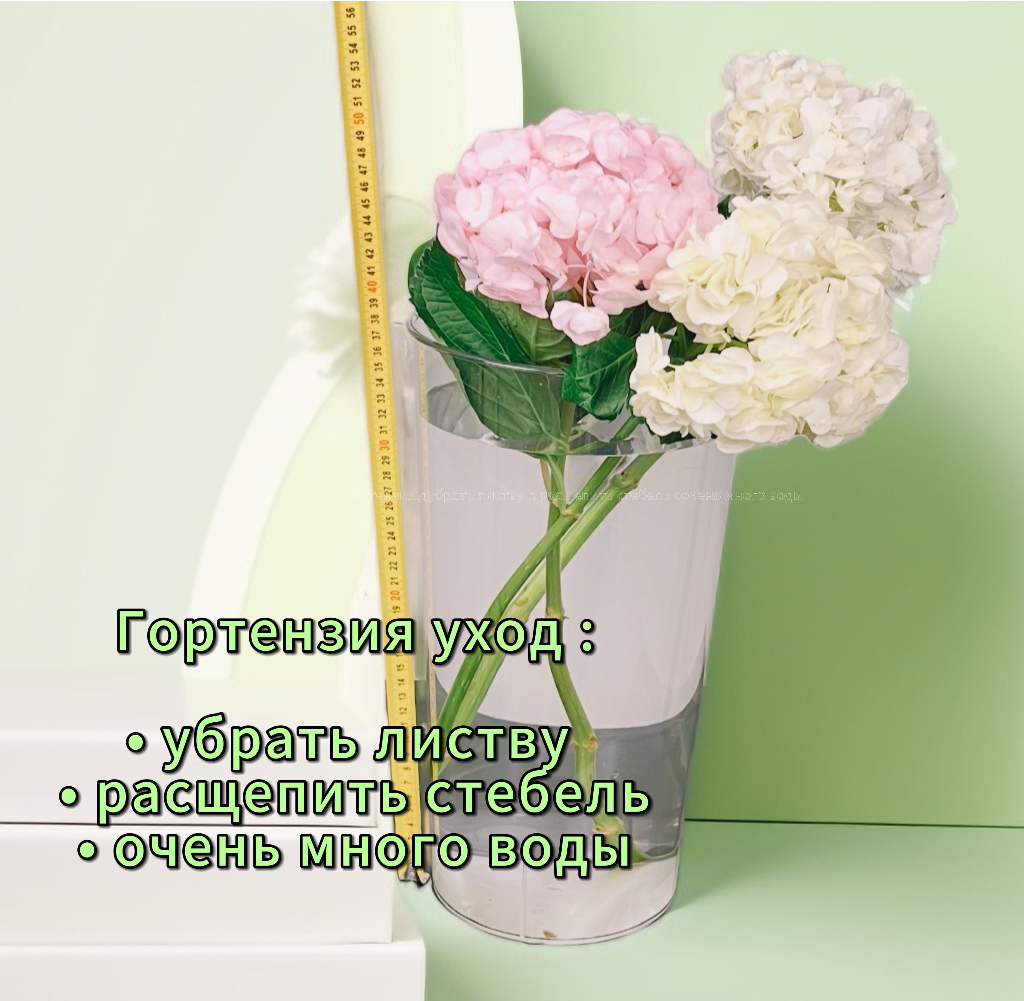 Уход за букетом: правильный уровень воды