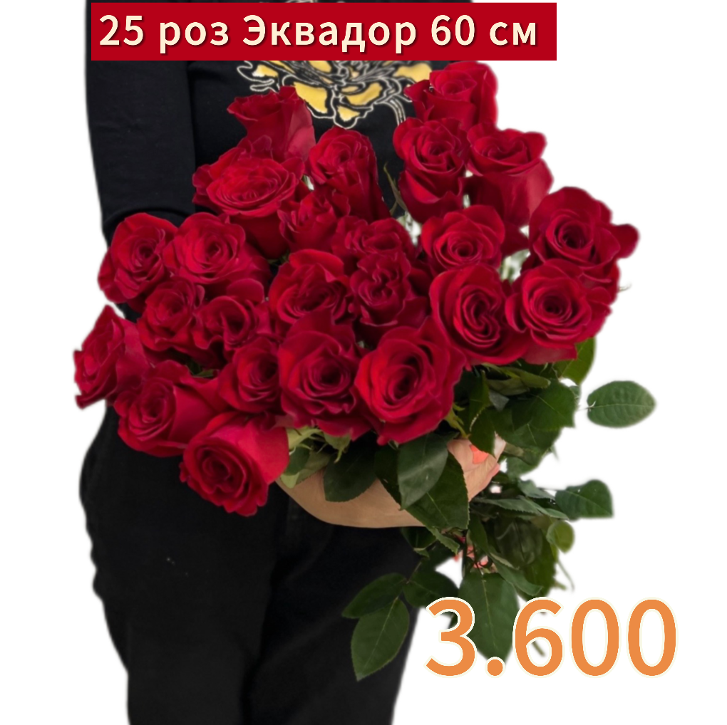25 красных роз 70 см купить в СПб дешево