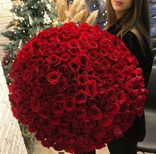 Букет из 101 розы Эквадор