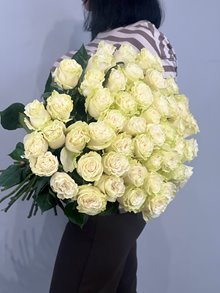 51 Роза Мондиаль 
