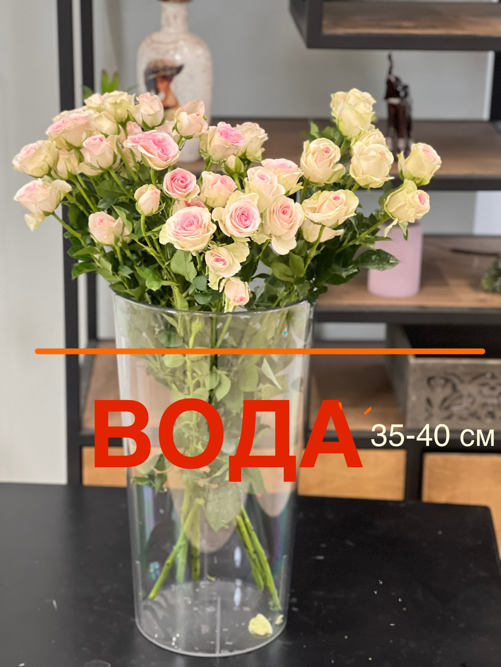 Сравнение Good Mood с обычными розами