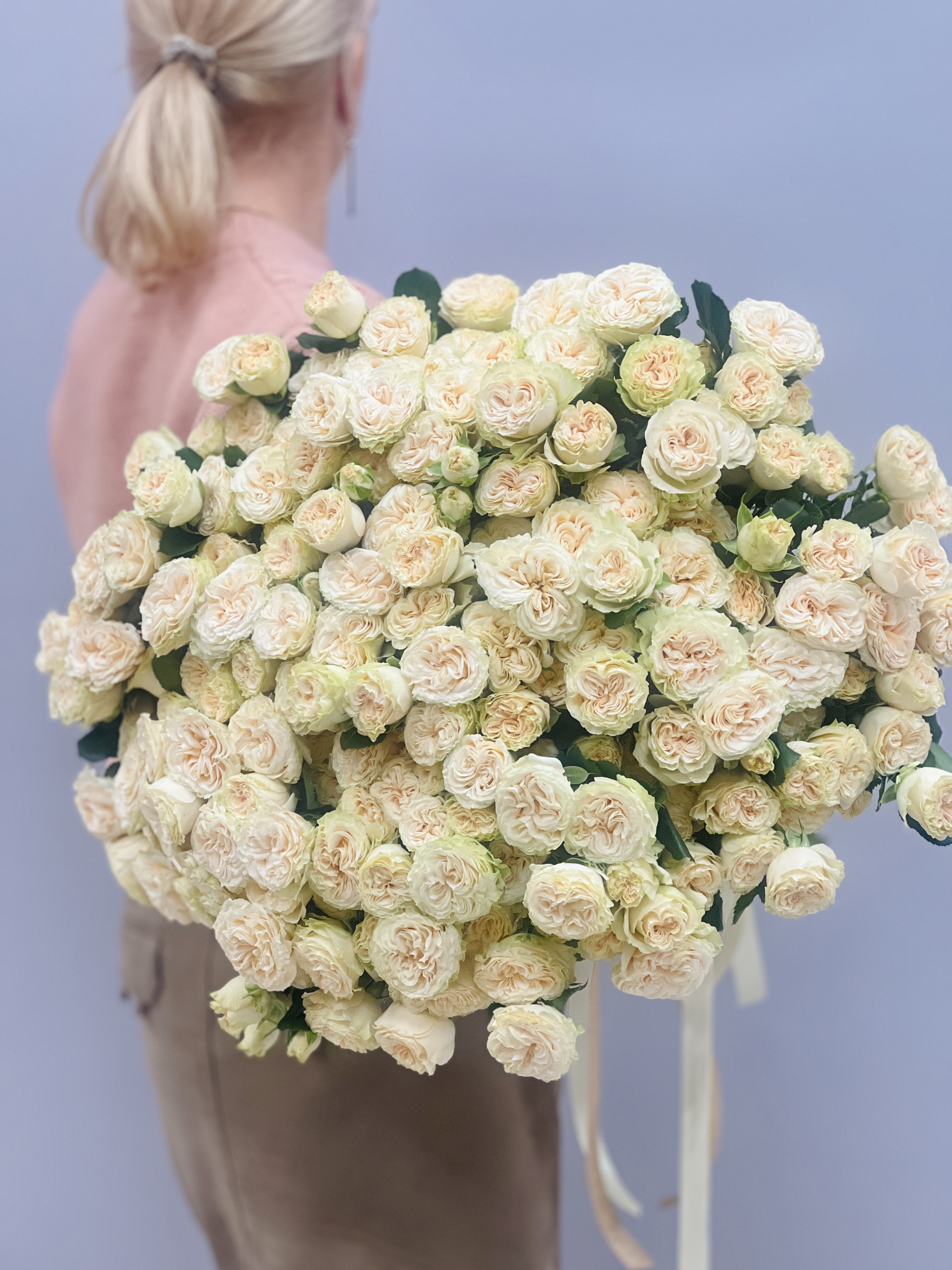 35 пионовидных роз Саммер Роуз - общий вид