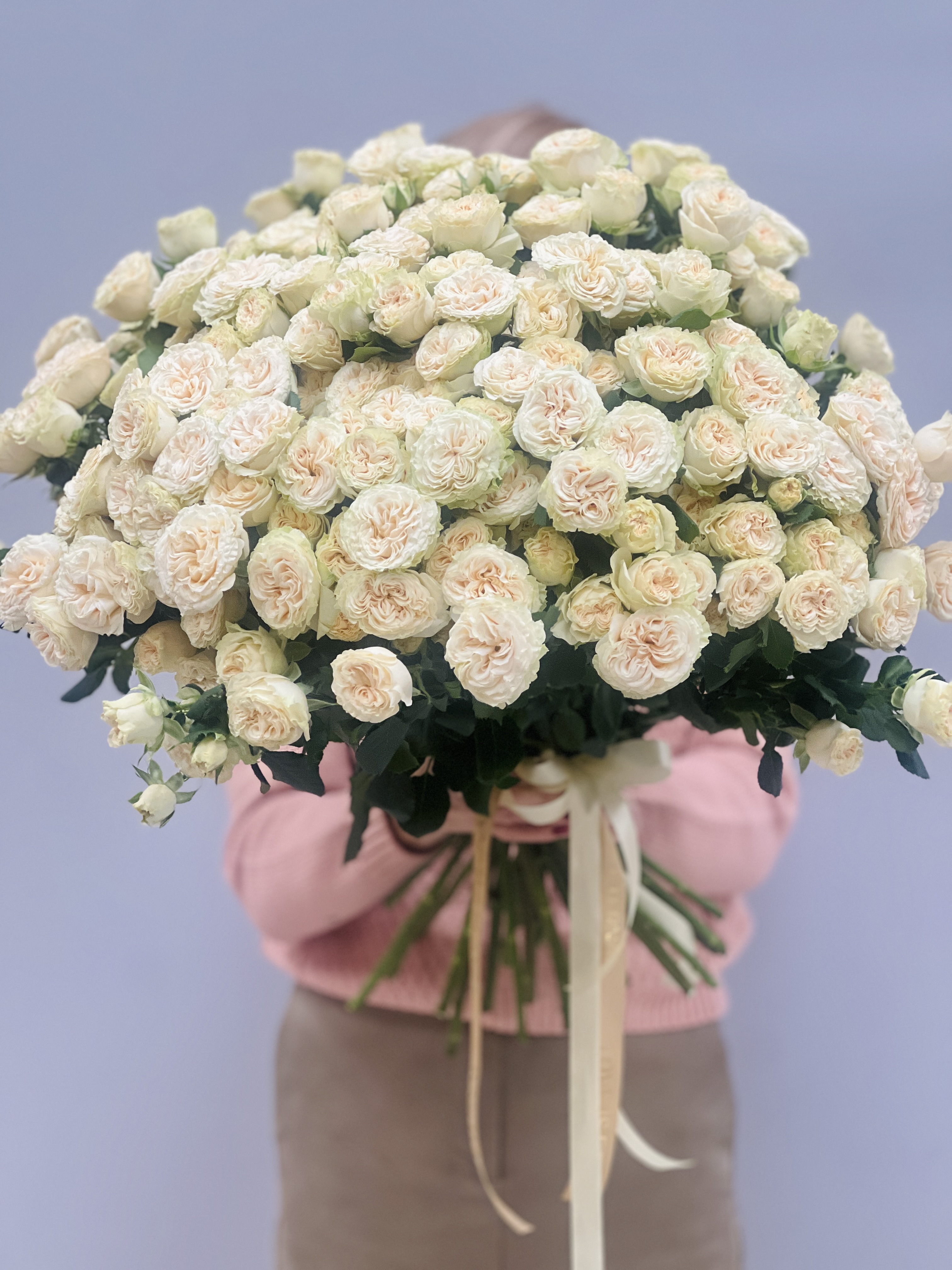 Крупный план бутона Саммер Роуз