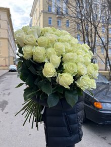 фото роз 51 Мондиаль  80 см 