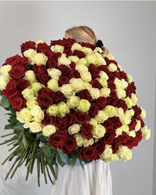 101 роза микс