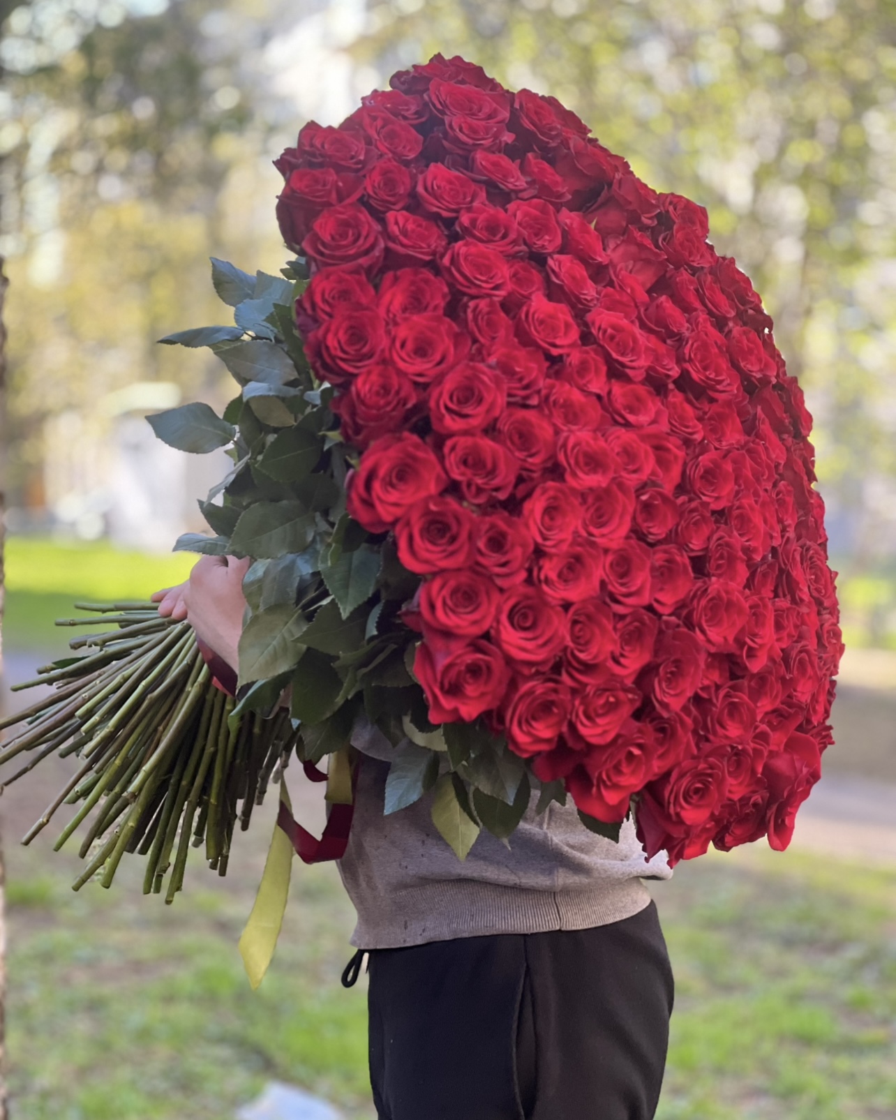 151 красная роза в упаковке