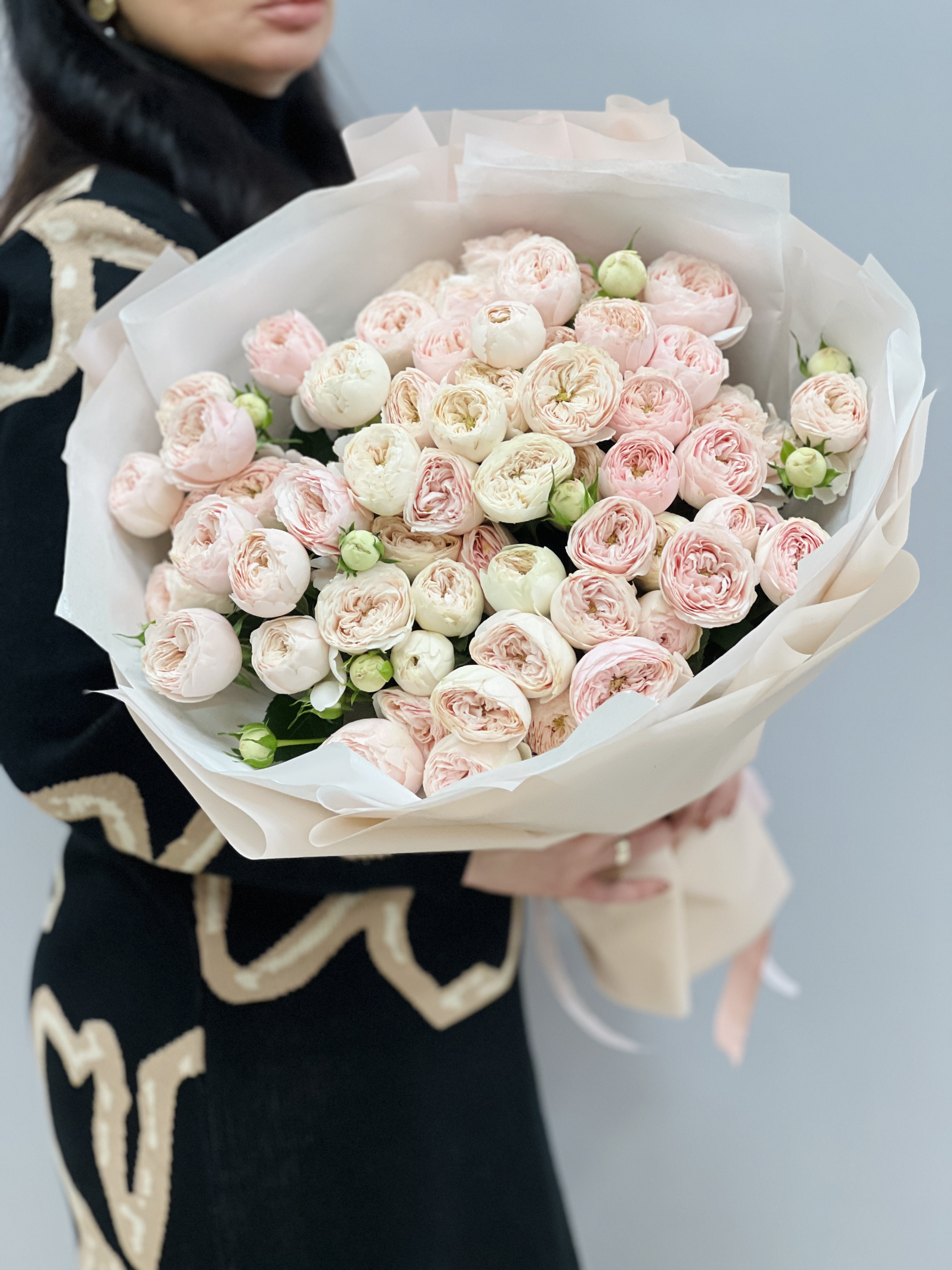 Розы Мэнсфилд Парк без упаковки