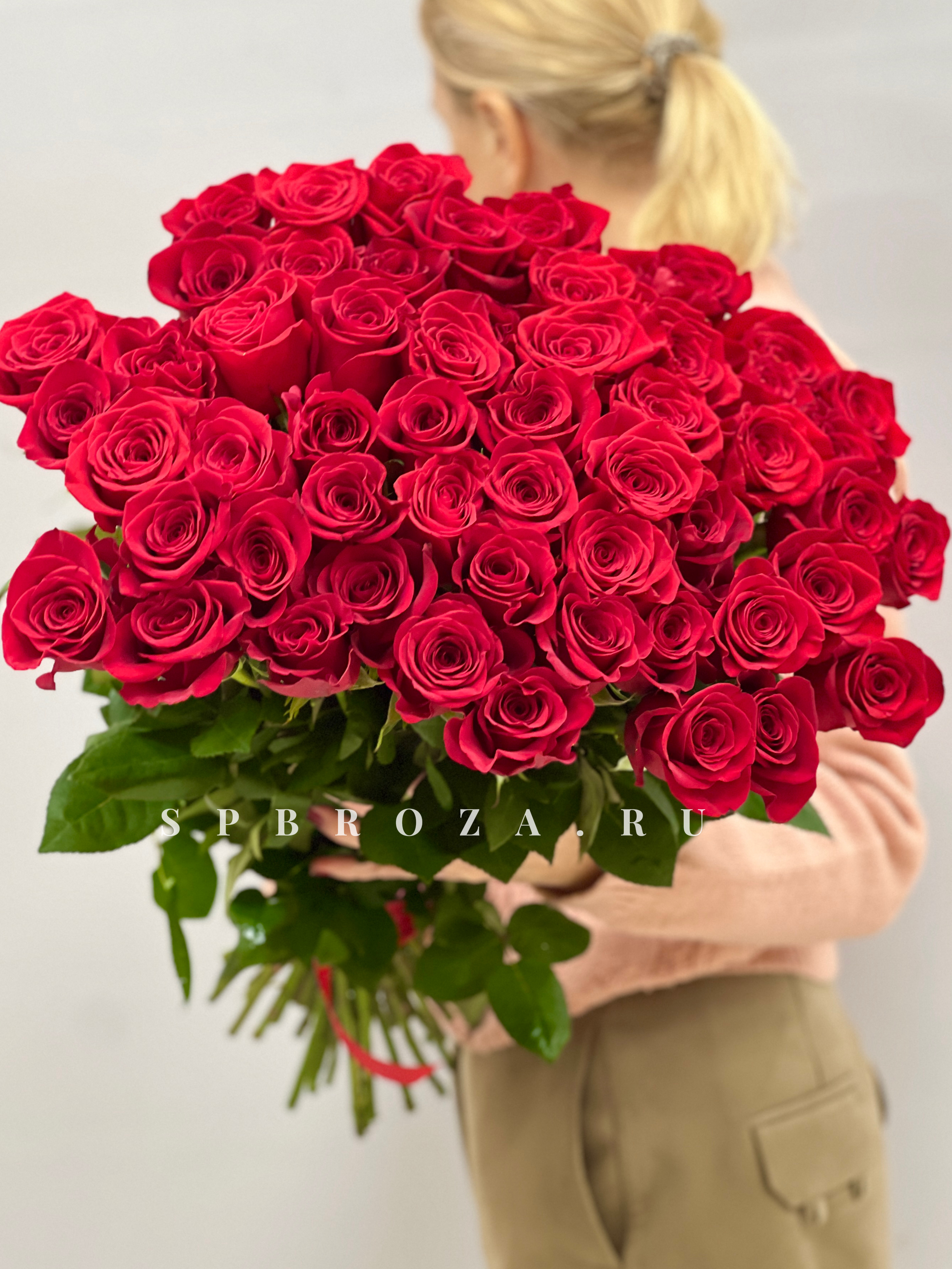 51 эквадорская роза - под ленту