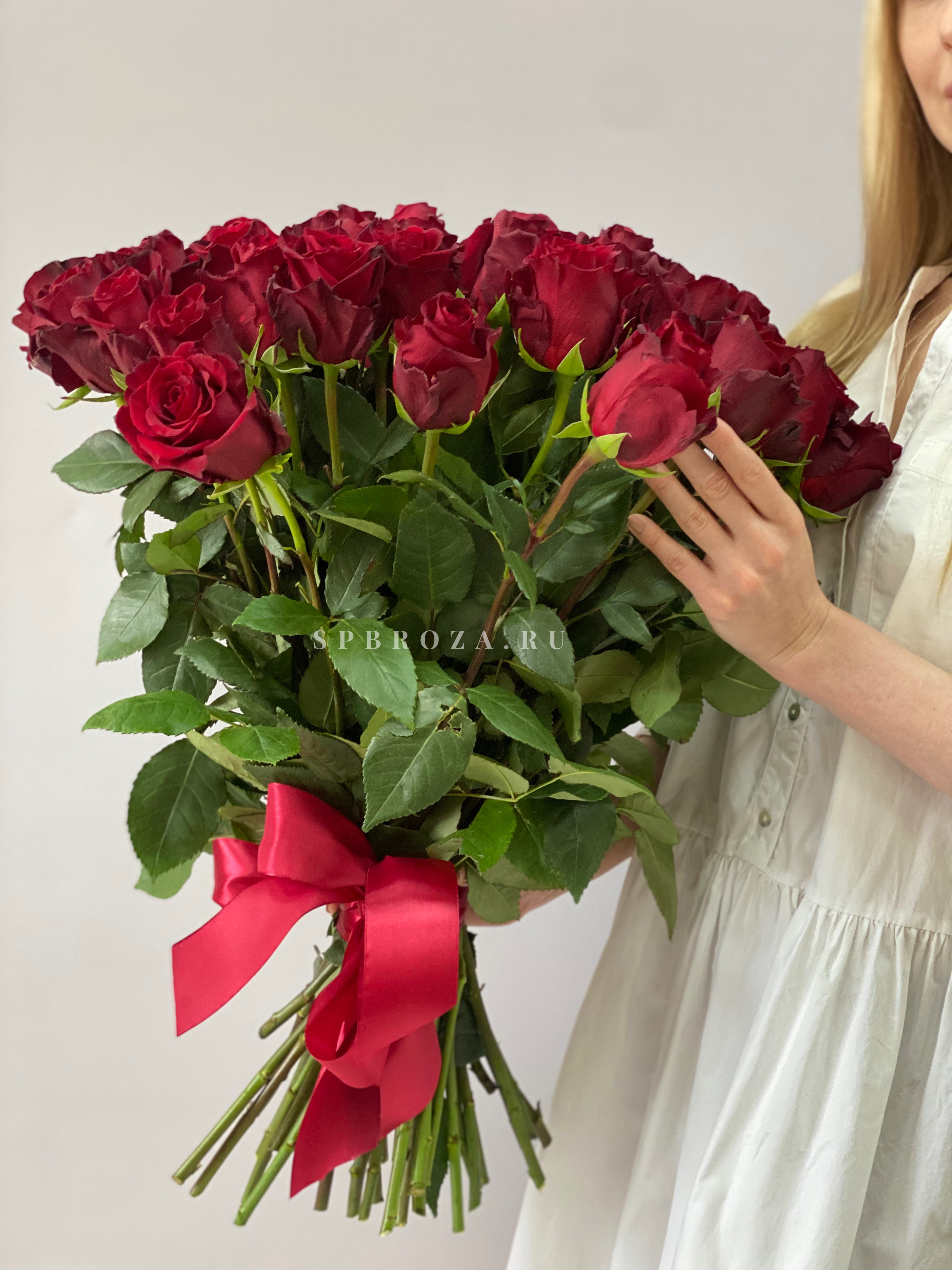 Сравнение розы Explorer с местной розой