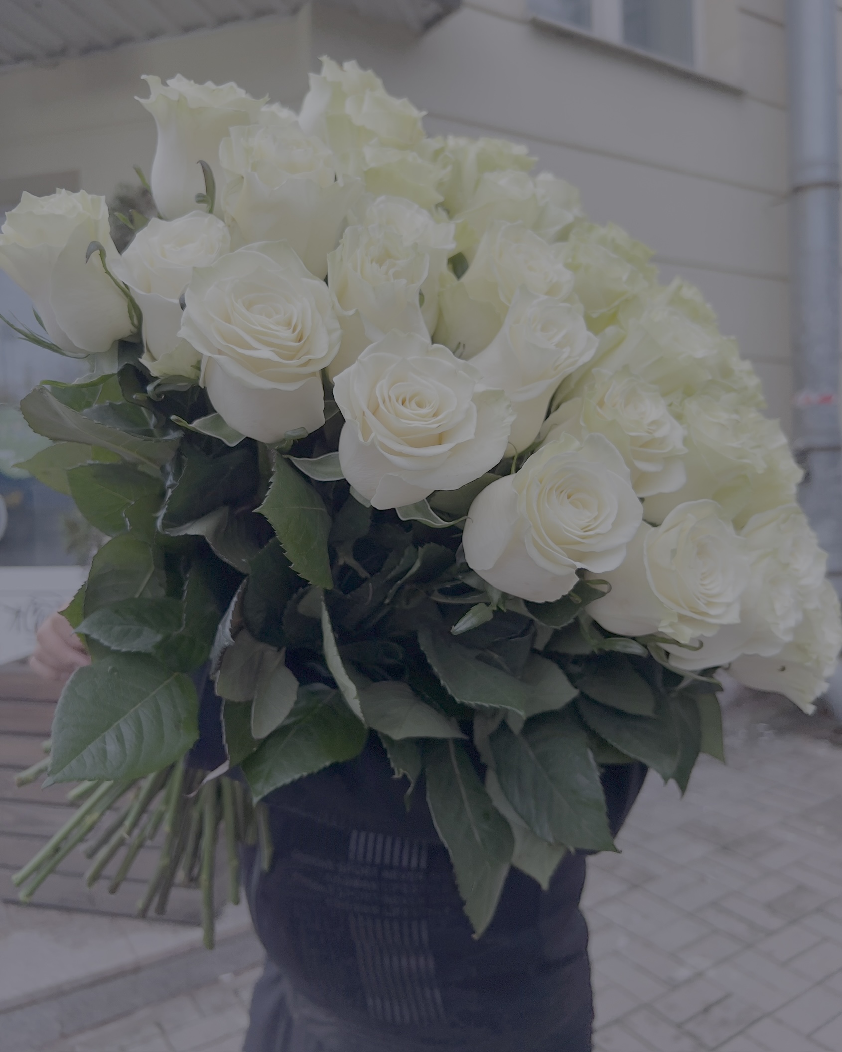 Крупный план белых роз