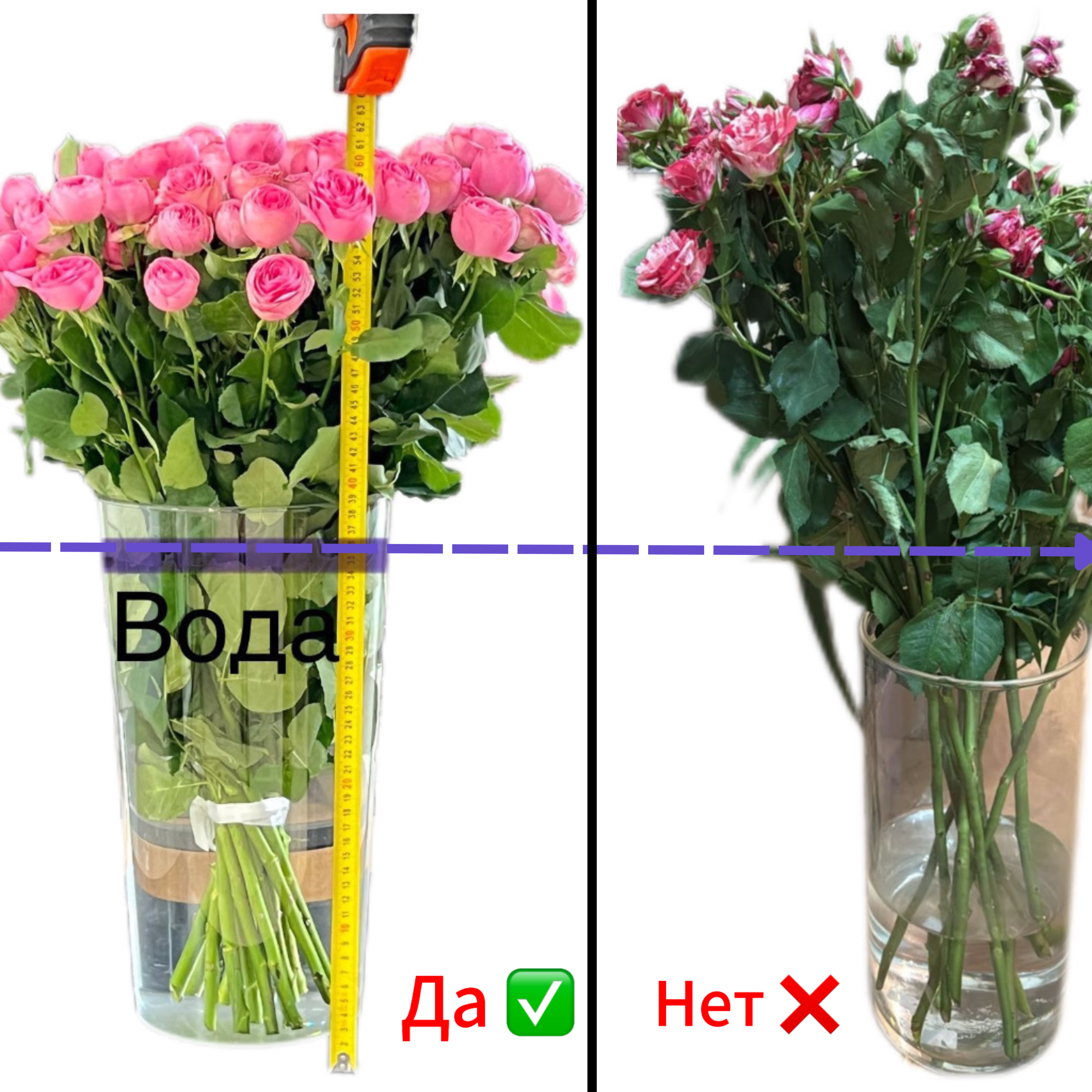 Уход за розами