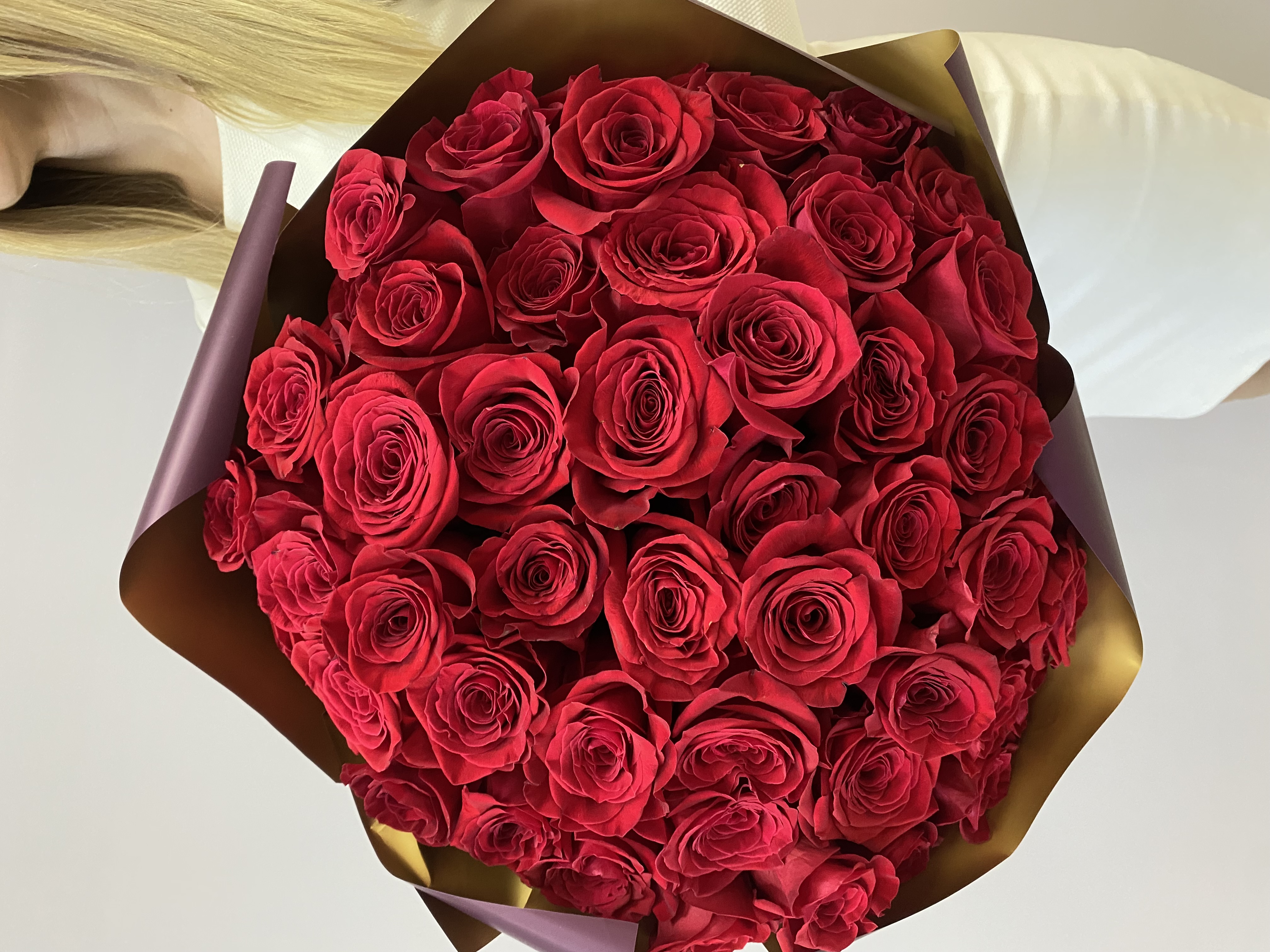 Крупный план бутонов эквадорских роз