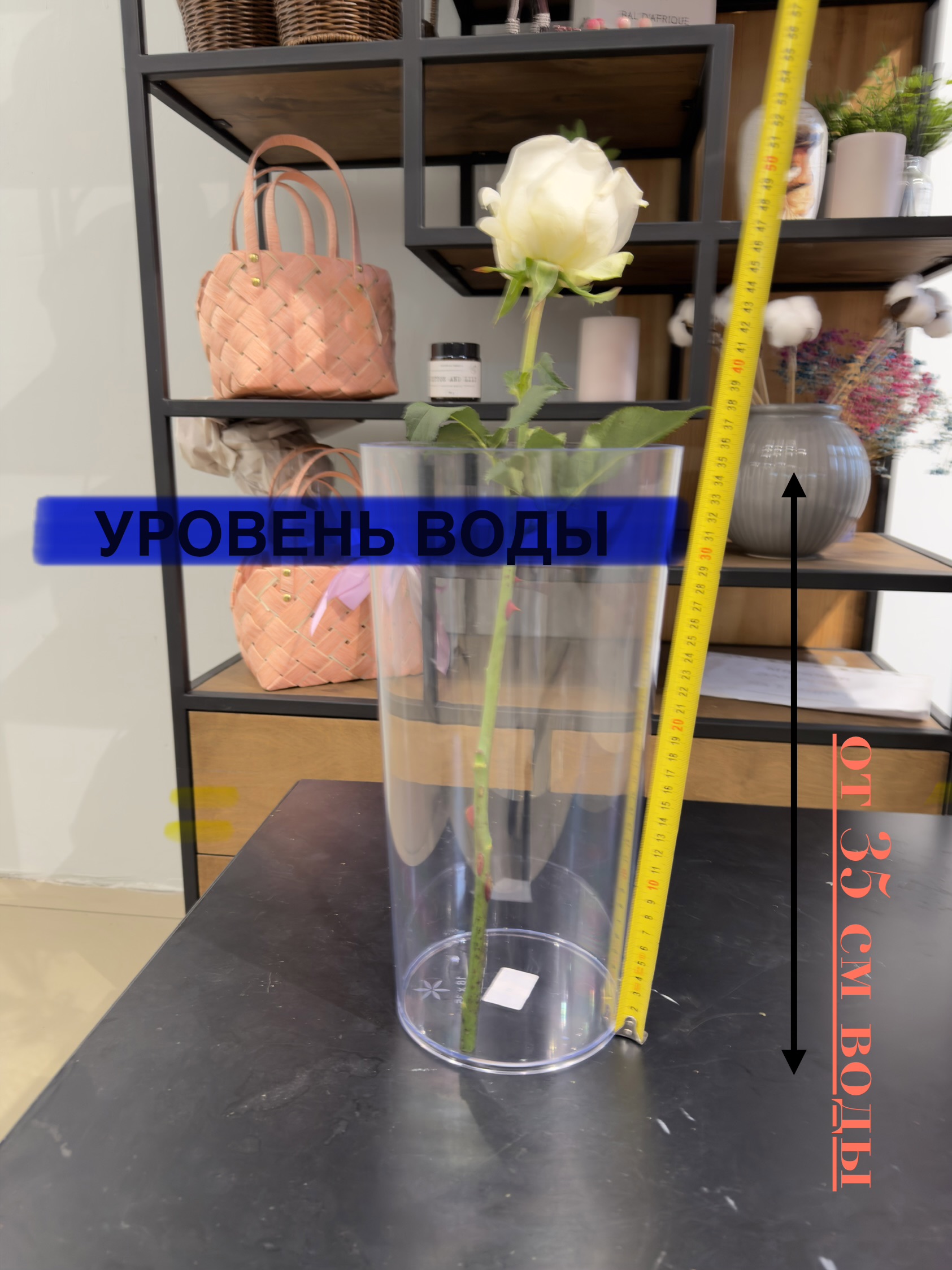 Уход за розами