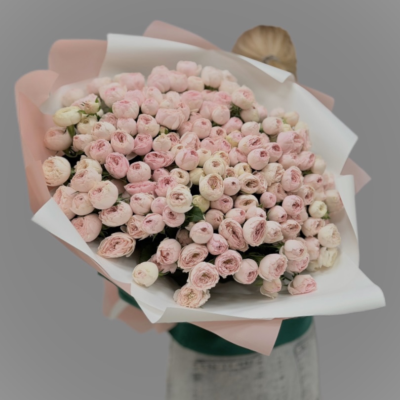 Крупный план пионовидной розы Мэнсфилд Парк