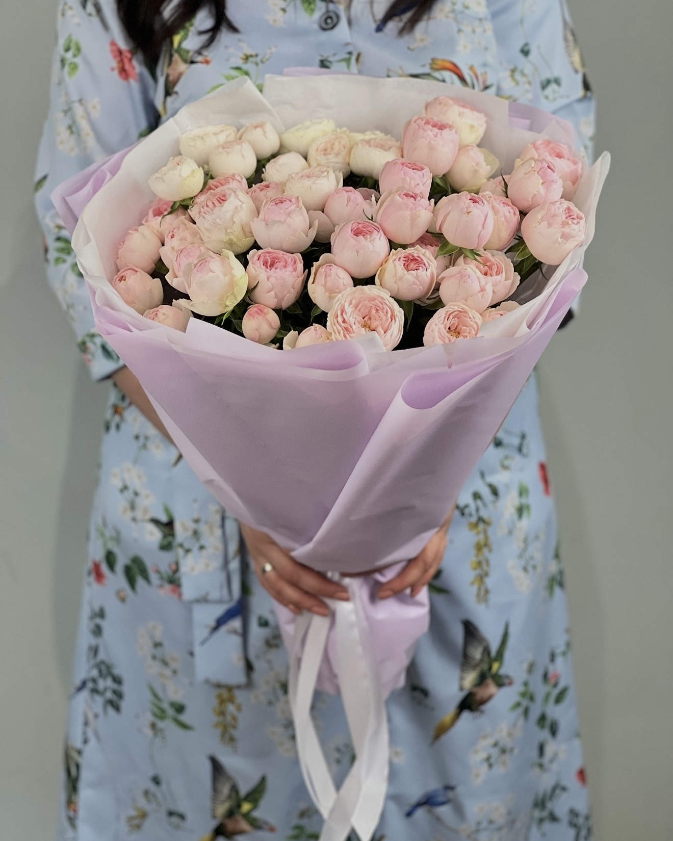 Крупный план пионовидной розы Мэнсфилд Парк