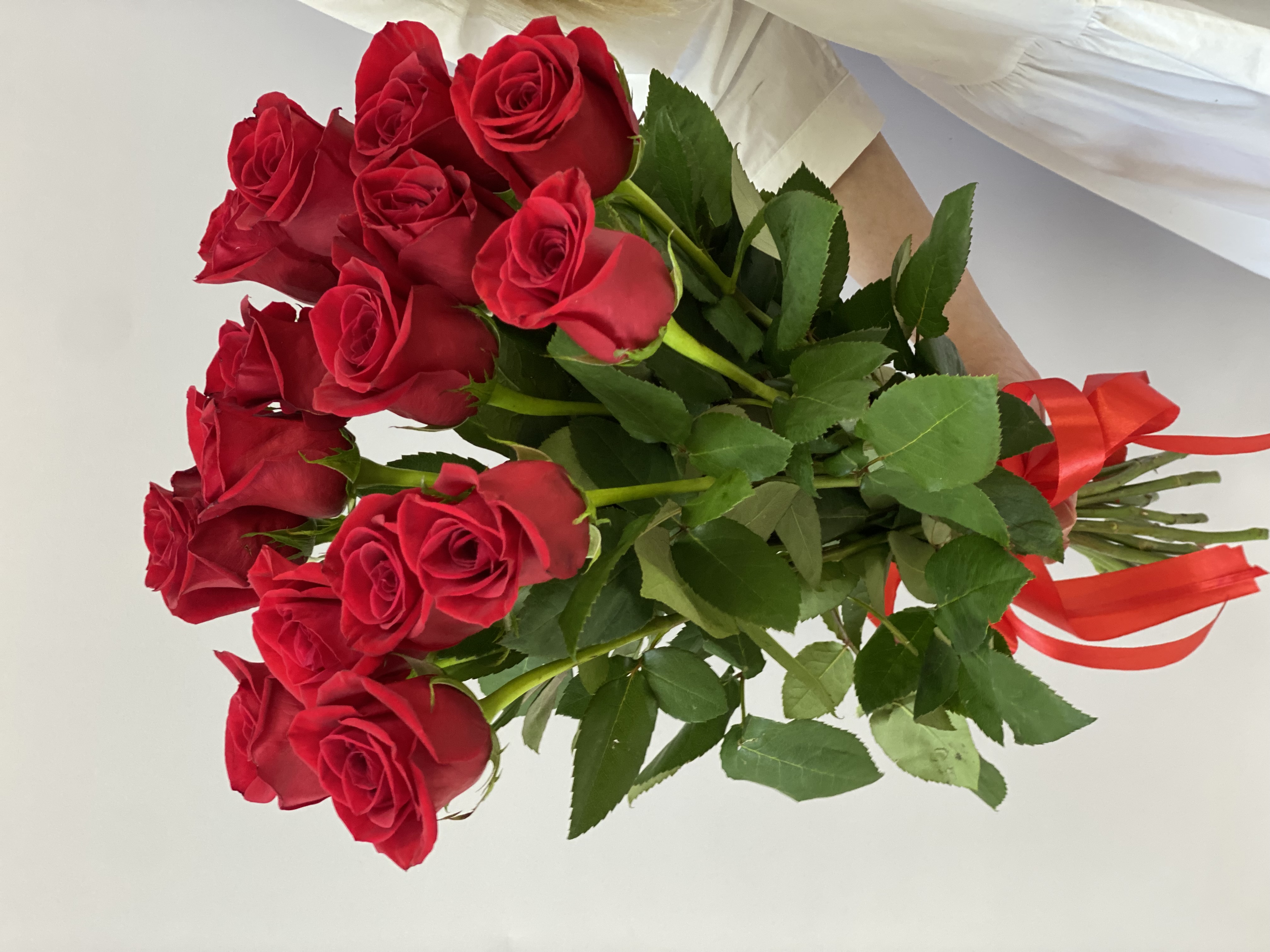 Букет из 15 красных роз Фридом 50 см (Эквадор) в красивой упаковке, доставка цветов СПб