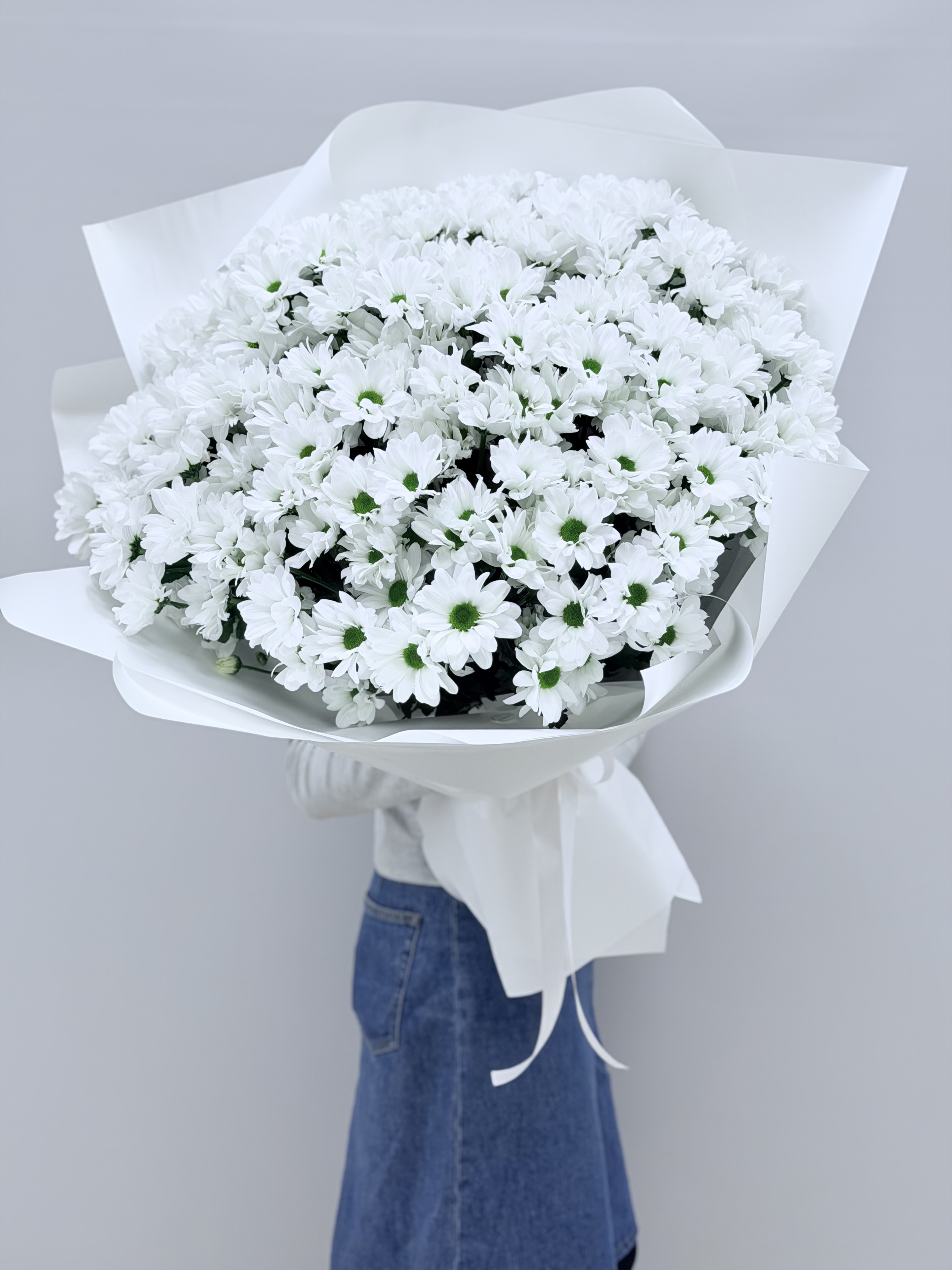 Хризантема Бакарди