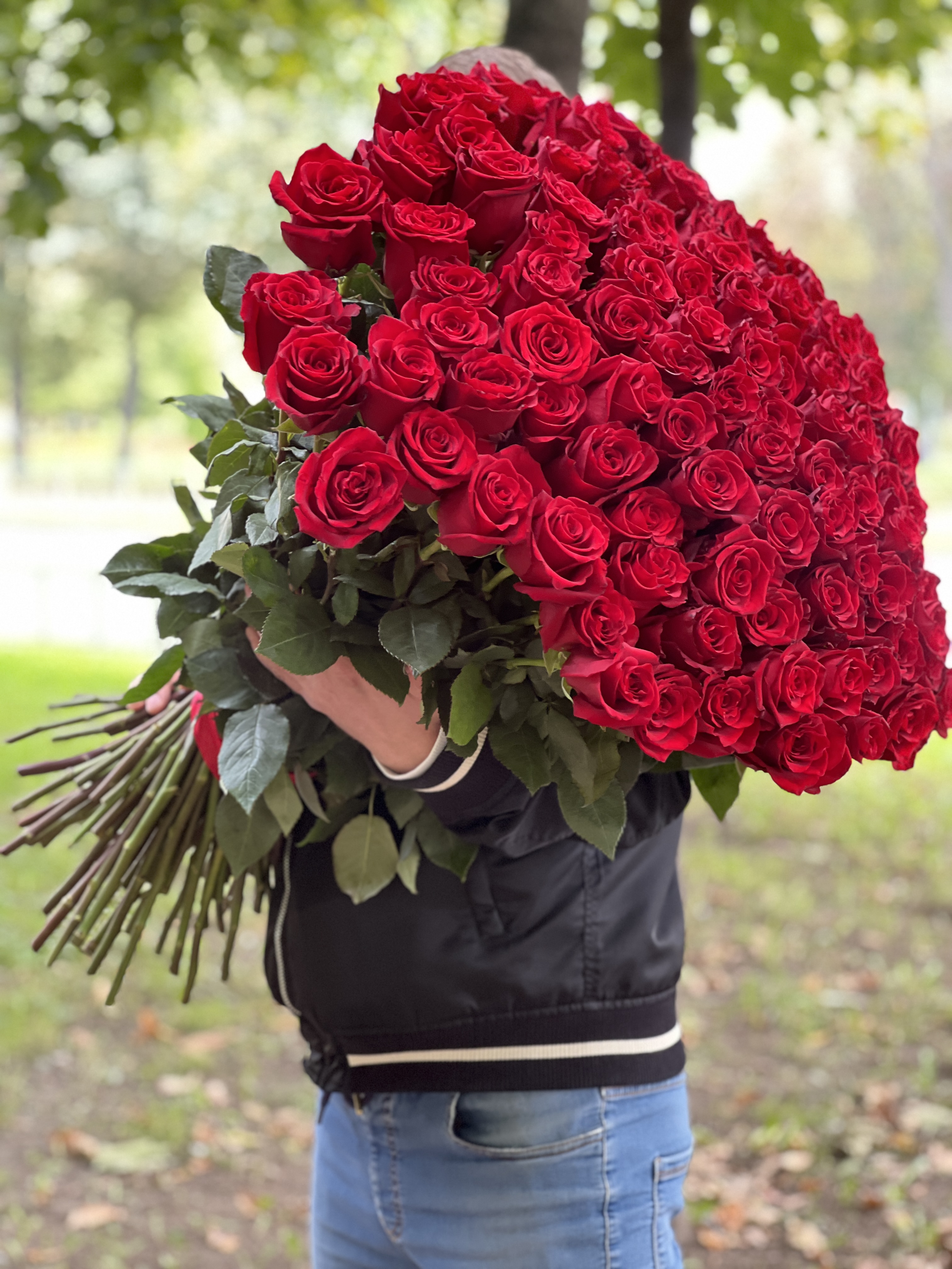 101 роза Explorer - вид спереди