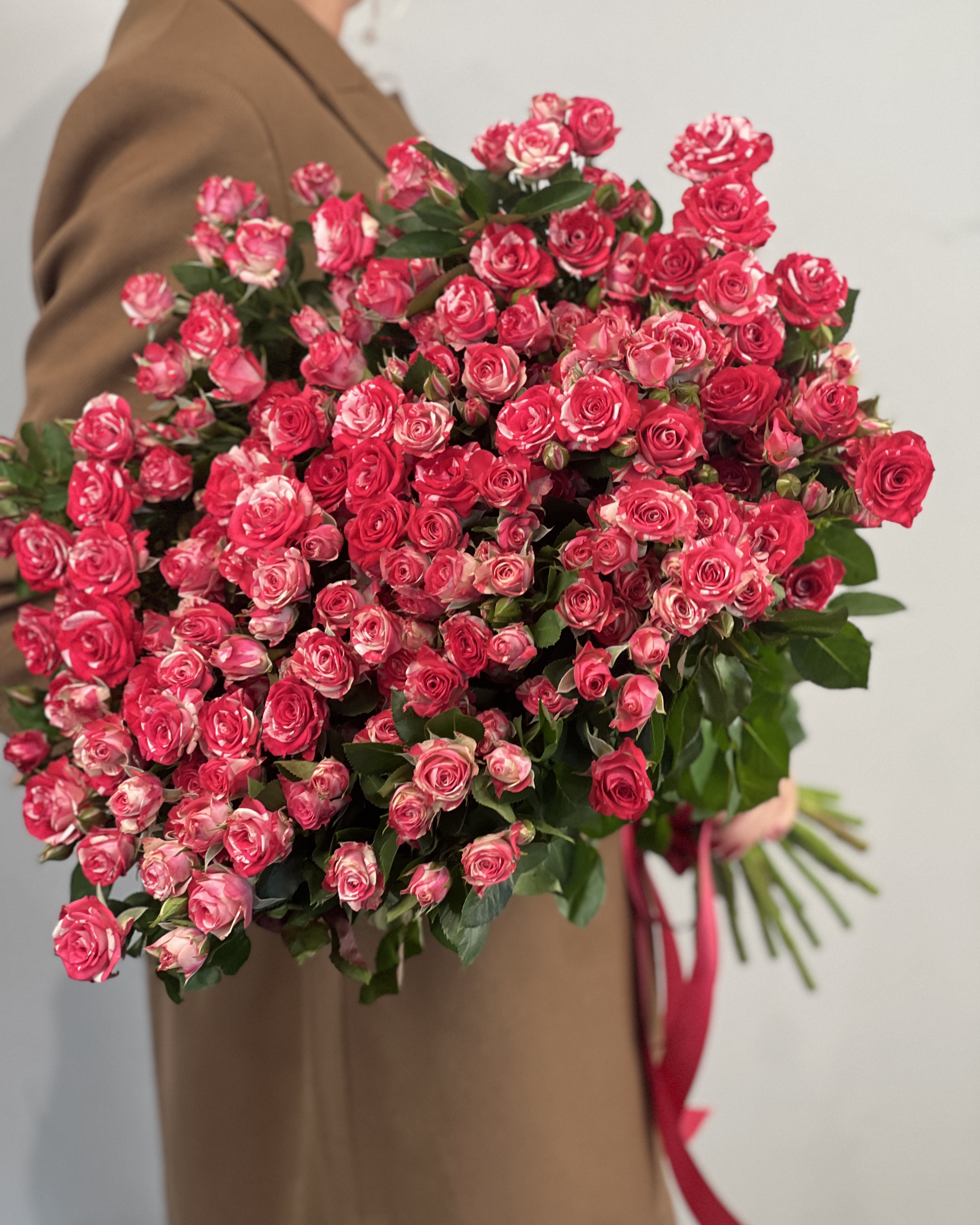 Крупный план цветка розы Фаерворкс