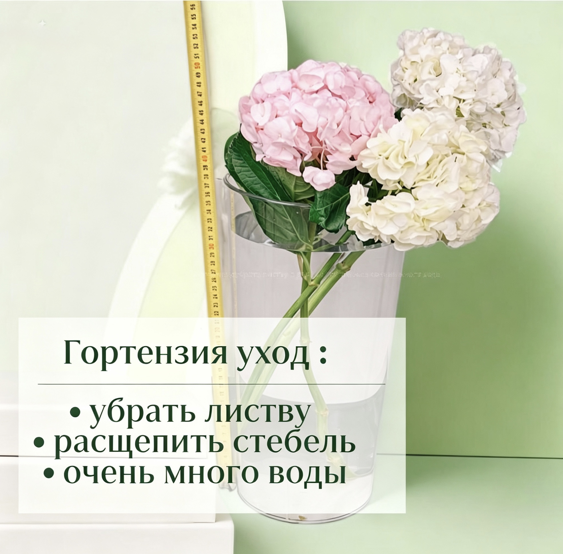 Уход за букетом: правильный уровень воды