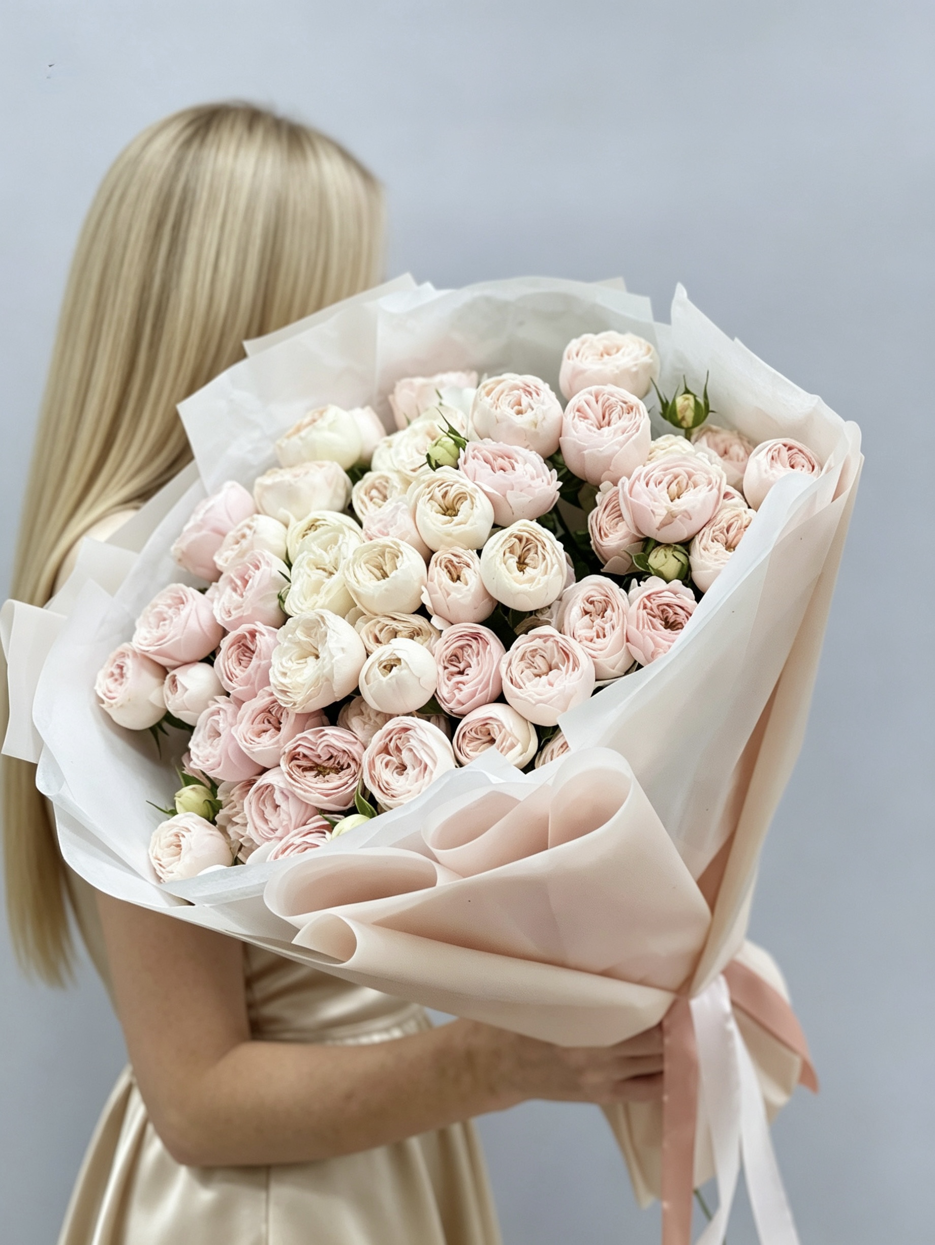 Розы Мэнсфилд Парк без упаковки