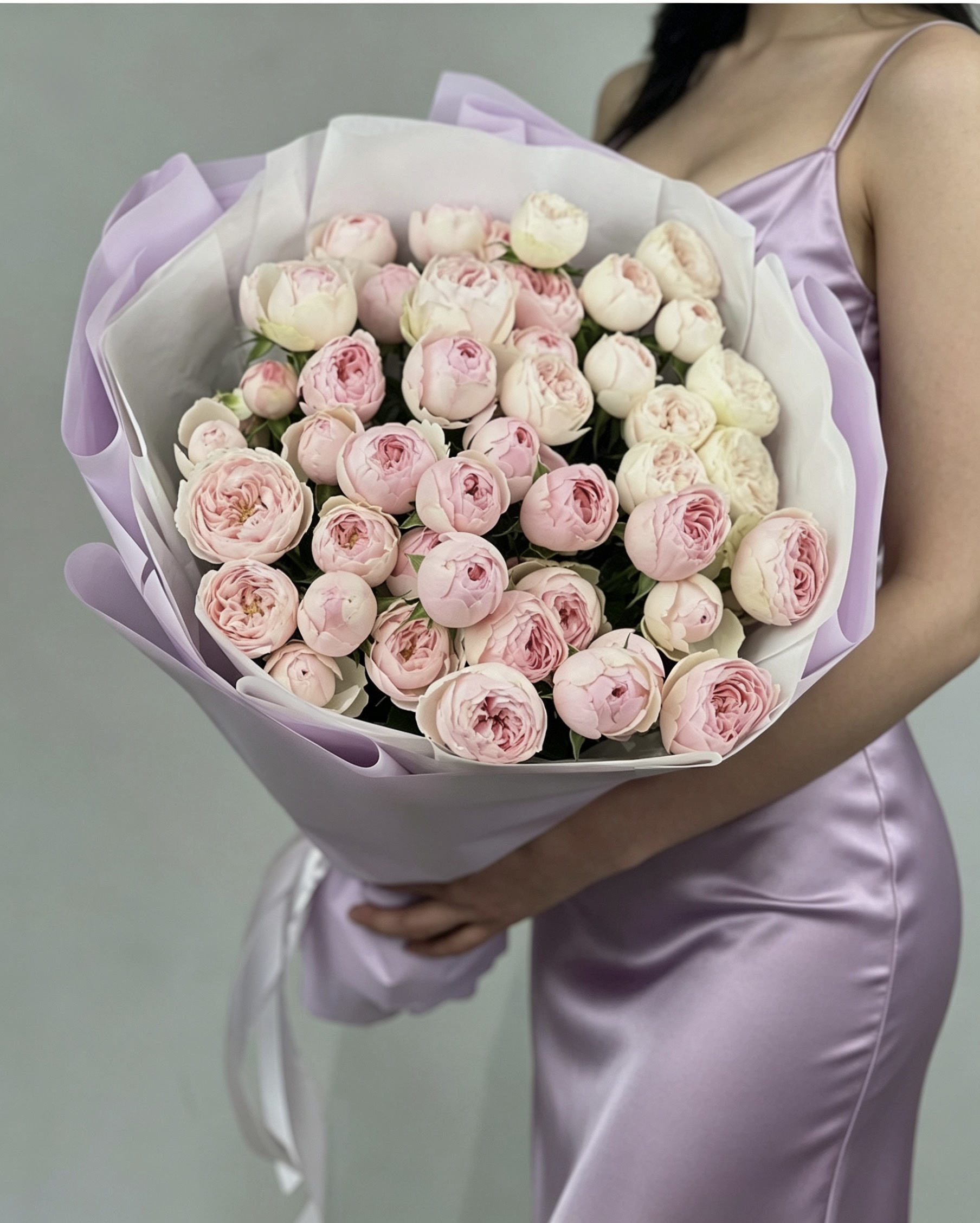 Крупный план пионовидной розы Мэнсфилд Парк