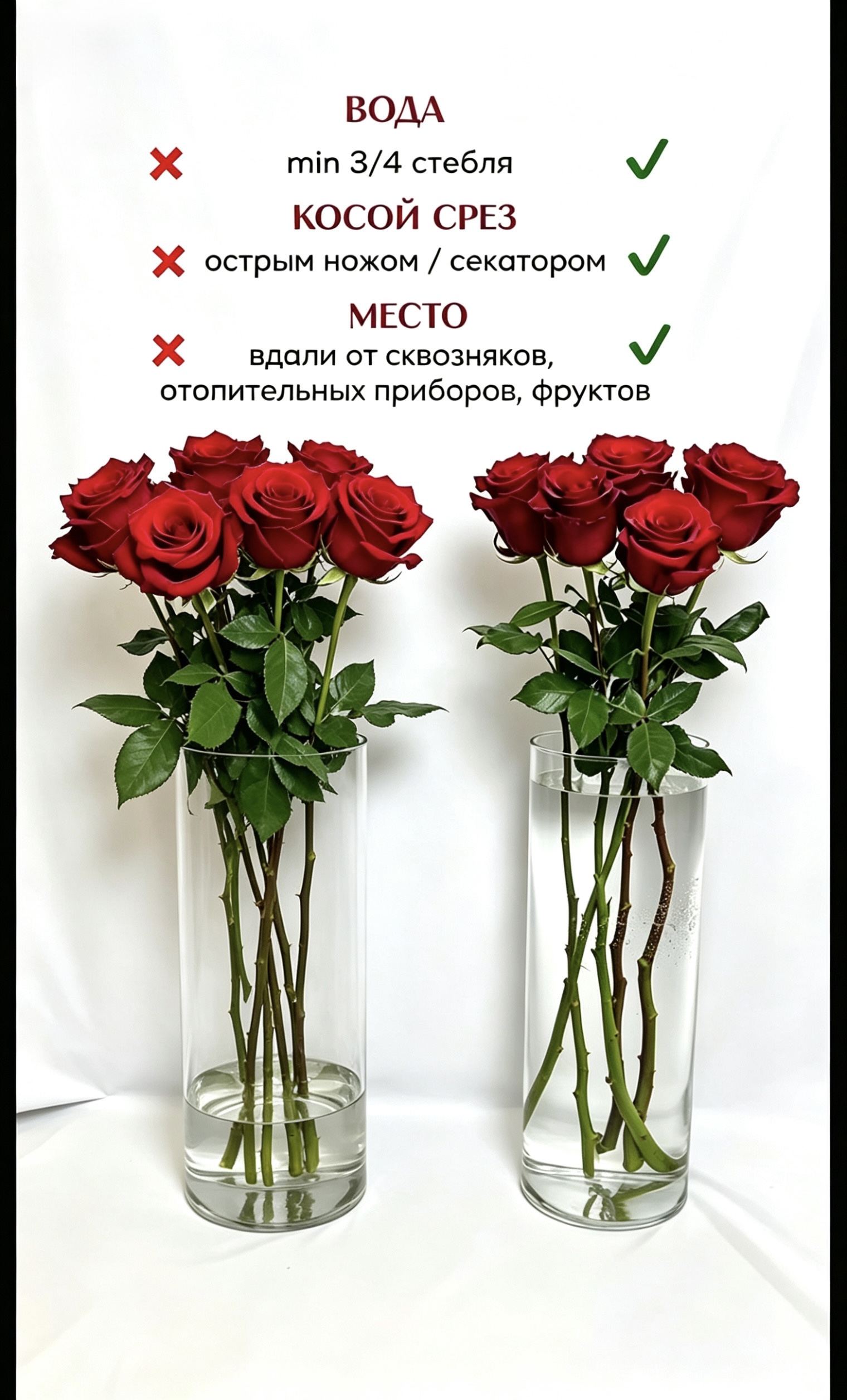 Правильный уход за розами: уровень воды от 40 см