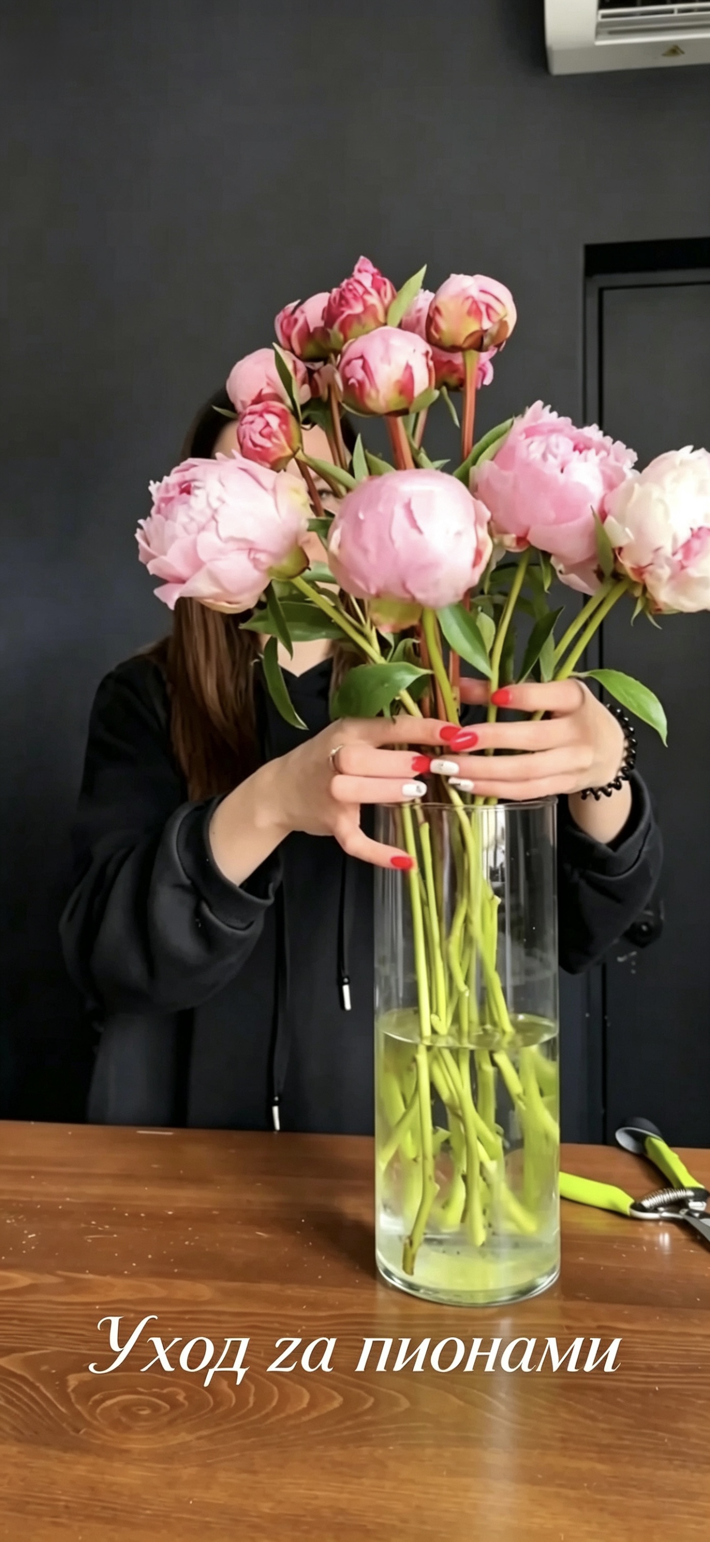 Правильный уход за пионами