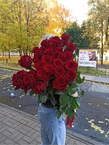высокие-розы
