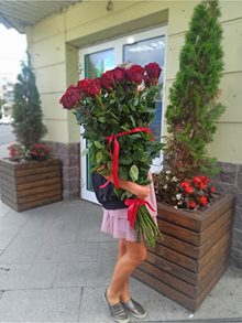 25 метровых роз
