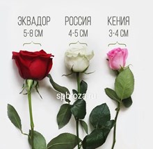 Букет в упаковке