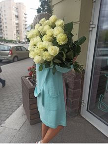 роза-мондиаль